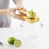 Joseph Joseph JuiceMax Plus Manual Citrus Juicer & Press, Dual-Action, Measuring Cup, Lemon, Lime, Orange(Standard)