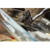 Joseph Joseph SinkTech Dish Brush with Replacement Head, Durable Bristles, Easy to Replace(Replacement Brush heads)